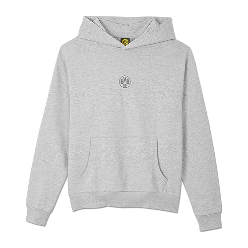 Borussia Dortmund BVB Hoodie Essentials, Grauer Kapuzenpullover, Gr. XXL, Basic Pullover, S-3XL