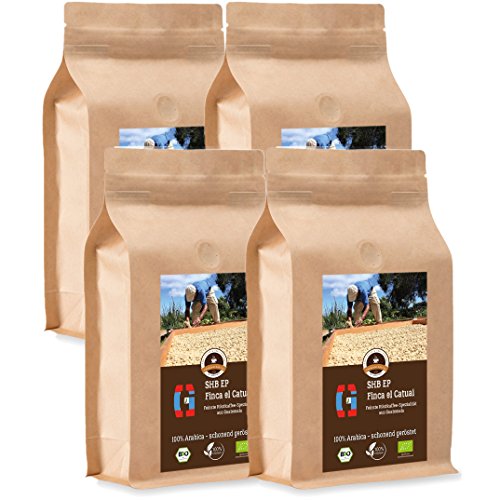 Kaffee Globetrotter - Bio Guatemala SHB EP Finca El Catuai - 4 x 1000 g Mittel Gemahlen - für Kaffee-Vollautomat, Kaffeemühle - Röstkaffee aus biologischem Anbau | Gastropack Sparpack