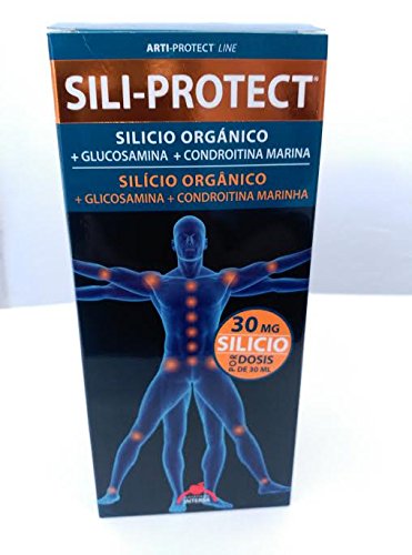 Intersa Sili-Protect 500 Ml.