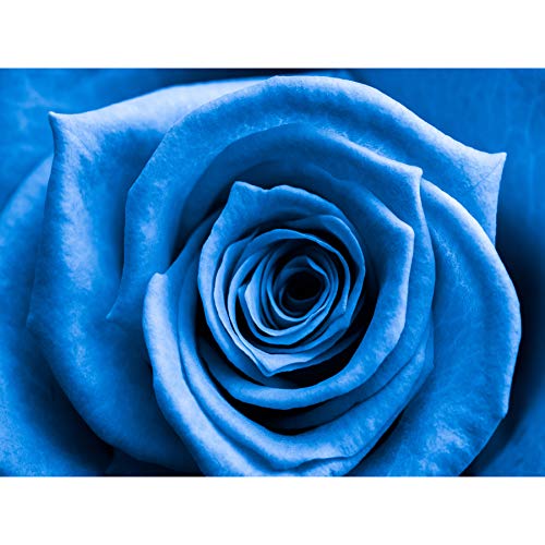 Fotodruck auf Leinwand, Motiv: blaue Blütenblätter, Rosenknospe, cooler Kunstdruck