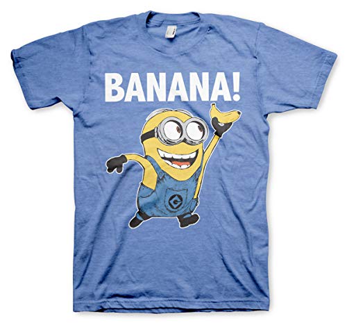 MINIONS Offizielles Lizenzprodukt Banana! Herren T-Shirt (Blau-Heather), XXL