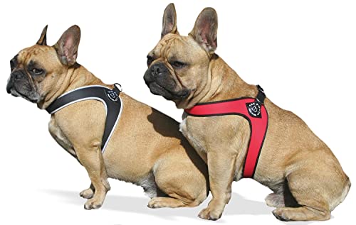 Tre Ponti Geschirr für Hunde / Farbe Rot / Gr.3 bis ca. 7kg Brustumfang 42-47cm