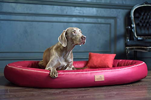 tierlando® Orthopädisches Hundebett Gilbert Ortho Soft Latex Velours Kunstleder (GLB4-TL 100x85 cm, 04 Bordeaux)