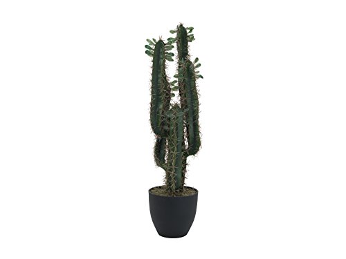 EUROPALMS 82600067 Cactus Messicano mit Blättern, 75 cm, Mehrfarbig, Einheitsgröße
