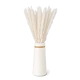 flature Pampasgras Weiß mit Vase - 30 Stiele Trockenblumen mit Keramik Vase Weiß Matt als Frühlingsdeko, Getrocknete Blumen für Wohnzimmer, Hochzeit, Gesteck, Kranz, Tischdeko
