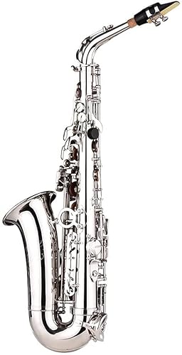 Saxophon-Saxophon EB sein Alto E Flat Messing geschnitztes Muster auf der Oberfläche Kunststoff-Mundstück Exquisit mit Handschuhen Reinigungstuch