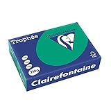 Clairefontaine 2213C - Ries Druckerpapier / Kopierpapier Trophee, intensive Farben, DIN A4, 210g, 250 Blatt, Tannengrün, 1 Ries