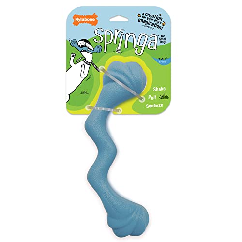 Nylabone Springa Interaktives Hundespielzeug für kleine Hunde, leicht, flexibel, schwimmfähig, für kreatives Spielen und Hundetraining