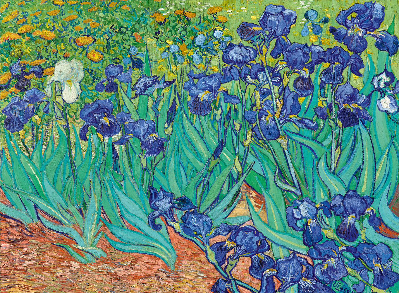 Bluebird Puzzle Vincent Van Gogh - Schwertlilien, 1889 3000 Teile Puzzle Art-by-Bluebird-60165
