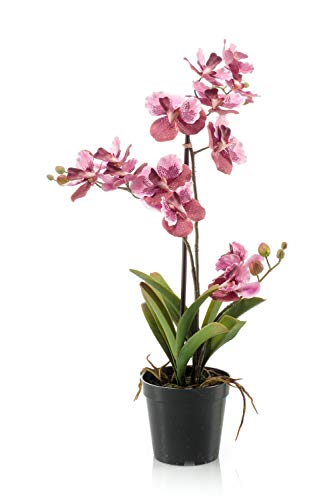 artplants.de Kunstorchidee Vanda Campo, rosa-pink, 60cm - Künstliche Orchidee/Blumendeko Orchidee