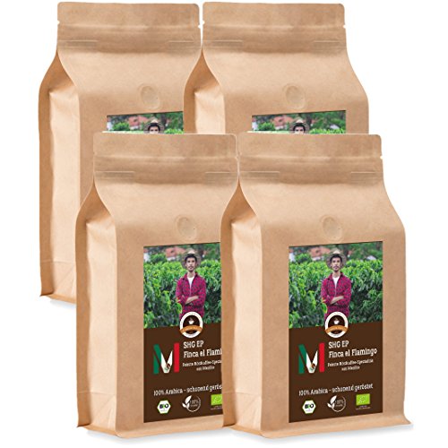 Kaffee Globetrotter - Bio Mexico Finca El Flamingo- 4 x 1000 g Sehr Fein Gemahlen - für Kaffee-Vollautomat, Kaffeemühle - Röstkaffee aus biologischem Anbau | Gastropack Sparpack