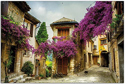 Wallario Garten-Poster Outdoor-Poster - Malerische Stadt in der Provence mit bunten Blumen in Premiumqualität, Größe: 61 x 91,5 cm, für den Außeneinsatz geeignet