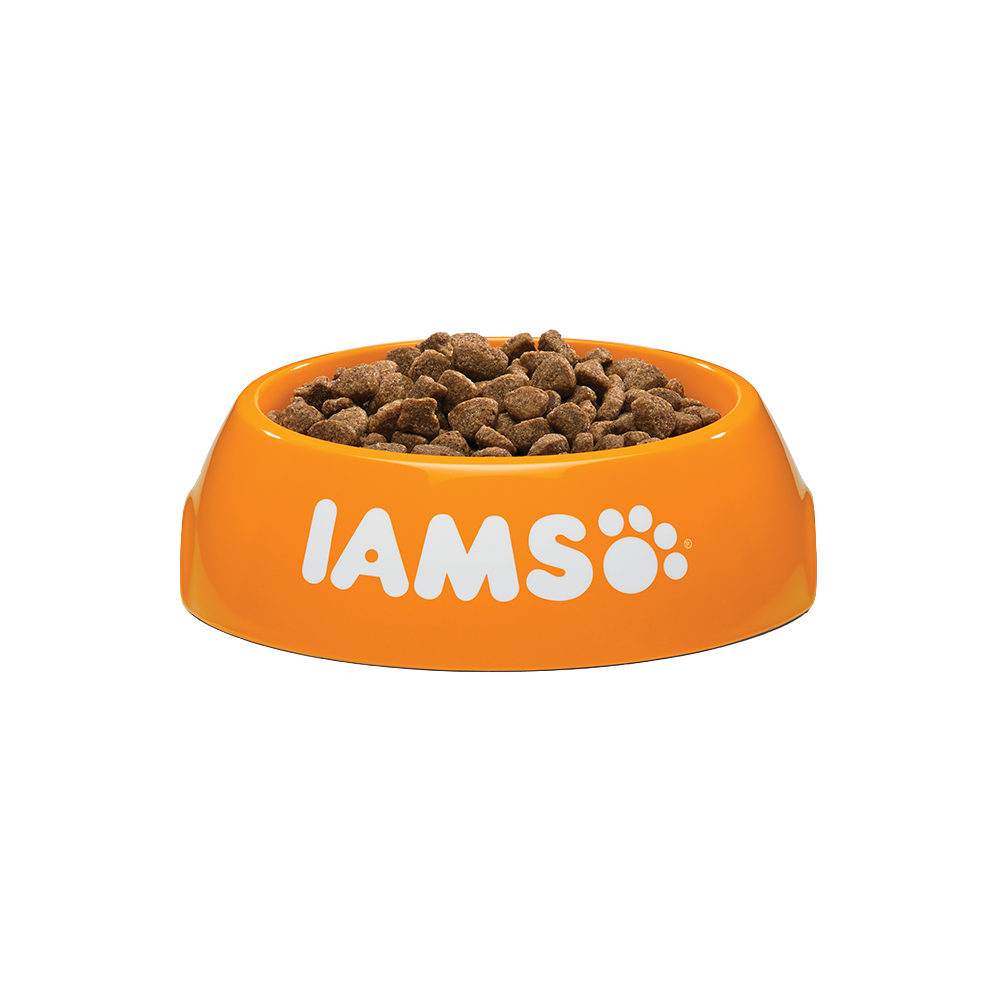 IAMS Adult Katzenfutter - Lamb & Chicken - 10 kg