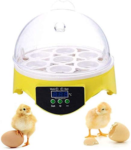 Halbautomatische Ei-Inkubatoren 7 Eier Hatcher Digital-Ei-Inkubator Automatische Temperaturregelung Ei-Inkubator Hatcher Maschine