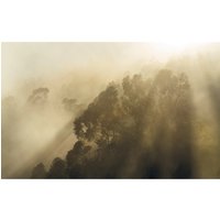 Vliestapete Misty Mountain Komar naturalistisch