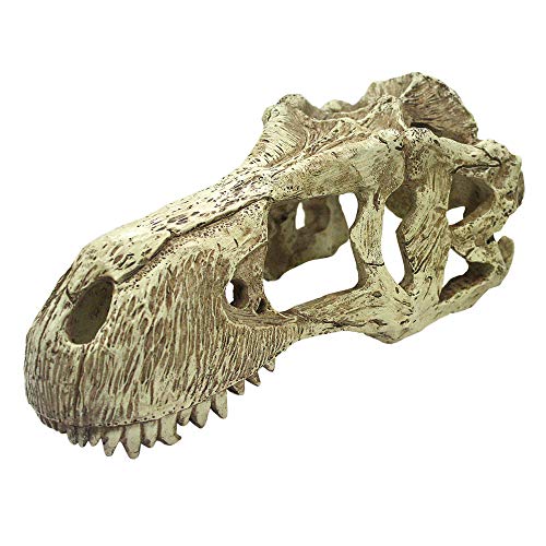Komodo T-Rex Totenkopf, Größe XL