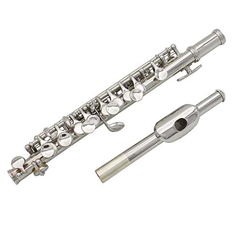 JADPES Blasinstrument zum Spielen und Lernen für den Schüler Piccolo C Key Piccolo Kit, Bandspiel für Lehrmaterialien für Anfänger (Silber)