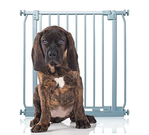 Bettacare Elite Druck-Hundegitter, 71 cm – 80 cm, mattgrau, druckfest, für Hunde und Welpen, Haustier- und Hundebarriere, einfache Installation