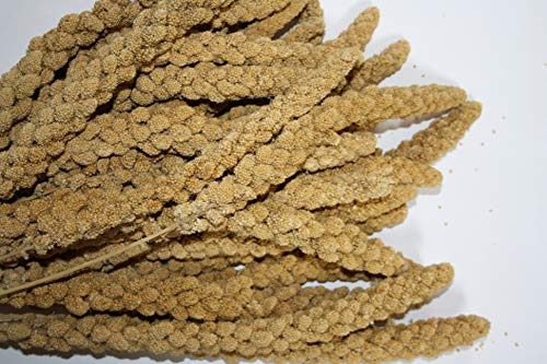 Versele Kolbenhirse China gelb 15 kg
