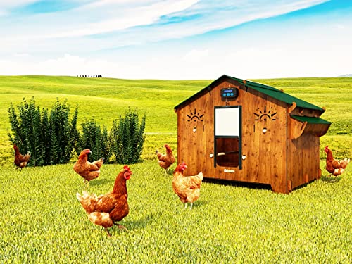 CUCCIOLOTTA Polly Farm Evolution 3XL Inklusive Chicken Guard Premium Hühnerstall aus laminiertem Hpl Anti-Milben Rot mit automatischer Türöffnung