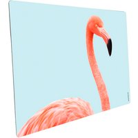 mySPOTTI Mini-Spritzschutz »Flamingo aque«, Aluverbund, Flamingo