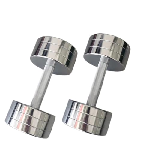 Hantel Galvanisierte Hanteln For Männer Und Frauen, Fitnessgeräte, Haushalts-Edelstahl, Massive Stahlhanteln Dumbbell (Color : Silver, Size : 100KGB)