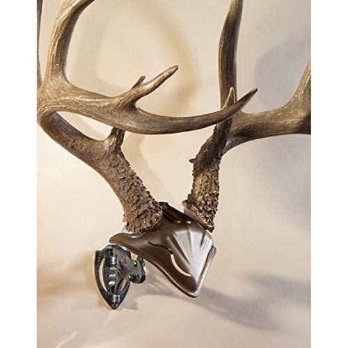 Skull Hooker Bone Bracket European Trophy Mount with Skull Cap Included - Perfect Kit for Hanging and Mounting Capped Skulls for Display, Graphite Black, One Size (SKH-BB-SC-Assy)