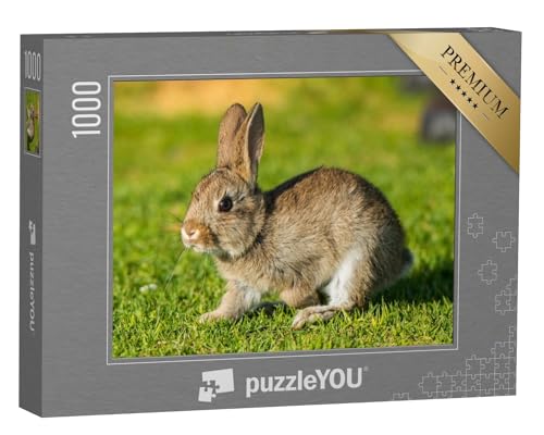 puzzleYOU: Puzzle 1000 Teile „Kaninchen, Hase“