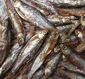 SAHAWA® _ getrocknete Fische für Wasserschildkröten, Fische, Nager, Hunde (3000 ml)