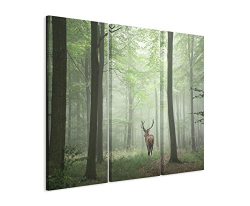 3 teiliges Bild Bilder gesamt 130x90cm Landschaftsfotografie - Hirsch im Nebelwald