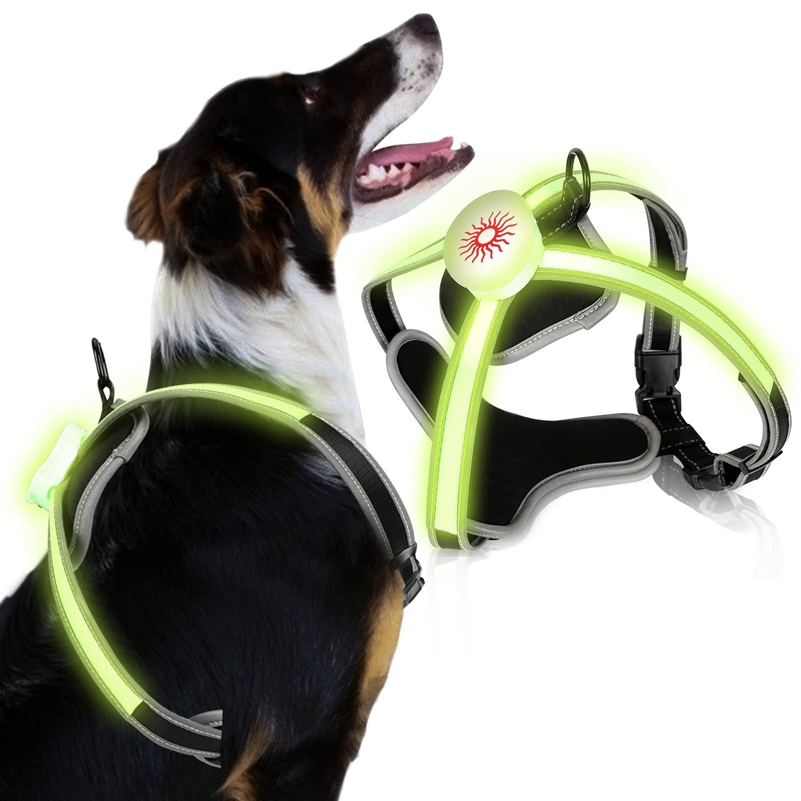 Riossad LED Hundegeschirr, Brustgeschirr für Hunde, Hundegeschirr Beleuchtetes, USB aufladbar and LED Hundeweste Leuchtend + reflektierend