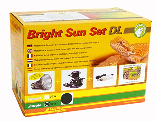 Lucky Reptile Bright Sun Set DL Jungle - 35 W Metalldampflampe inklusive Einbauleuchte & Vorschaltgerät - Reptilien Lampe mit Tageslichtspektrum - Terrarium Zubehör - UV-Set in schwarz