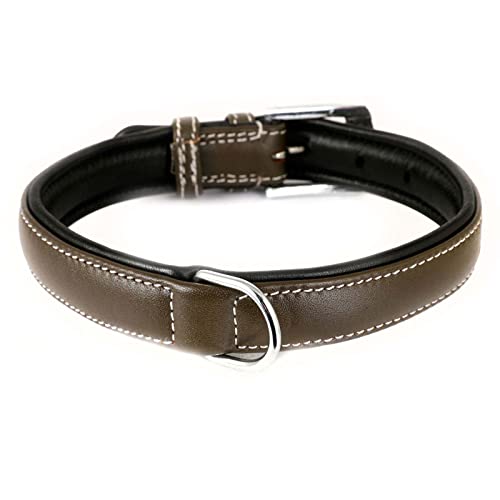 Monkimau Hundehalsband aus Leder Halsband für Hunde Lederhalsband braun gepolstert M