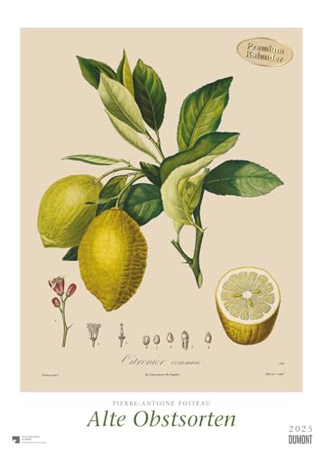 Pierre Antoine Poiteau: Alte Obstsorten 2025 – DUMONT Kunst-Kalender – Poster-Format 50 x 70 cm