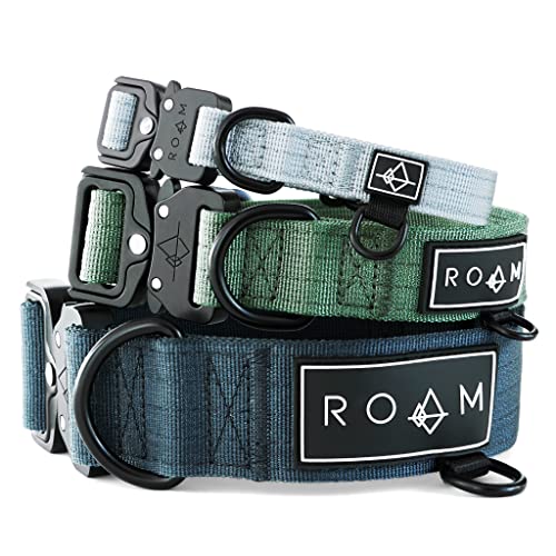 MADE TO ROAM Premium Hundehalsband – Verstellbares, strapazierfähiges Nylonhalsband mit Schnellverschluss-Metallschnalle (Arizona Heartbeat, Größe 2)