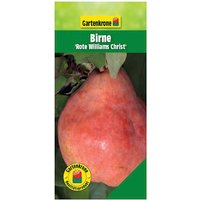 Gartenkrone Birne, Pyrus communis »Rote Williams Christ«, Früchte: süß