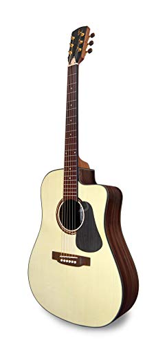 APC Instruments WG300 PSI CW Akustische Gitarre