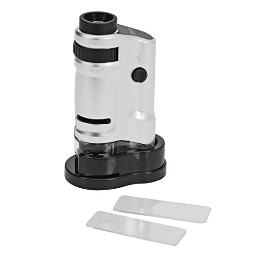 SAFE 4672 Zoom Taschenmikroskop | stufenlose 20 - 40 fache Vergrößerung mit LED-Leuchten inklusive Batterien | geeignet für die Beobachtung von Briefmarken, Münzen, Schmuck, Mineralien | Abmessungen ca. 10 x 5,5 x 3 cm