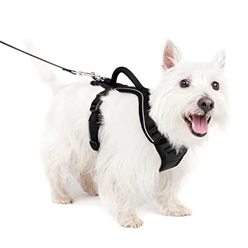 PetSafe EasySport Hundegeschirr, Komplett gepolstert mit elastischem Halsteil, Für Hunde von 9-16,5 kg, Größe S, Schwarz