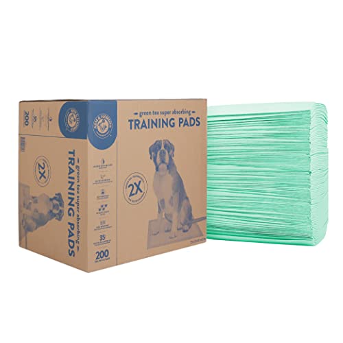 Arm & Hammer Green Tea Haustier-Trainingspads | 200 ct Hundetrainingspads mit super saugfähigem grünem Tee-Backpulver für 2 x Geruchskontrolle | auslaufsichere und recycelte Trainingspads für Hunde