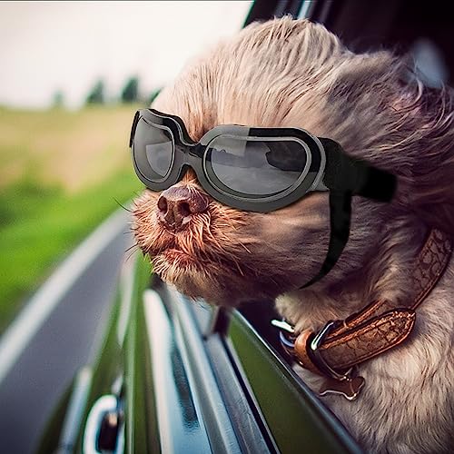 NAMSAN Hundebrille, kleine Rassen, UV-Objektiv, Hunde-Sonnenbrille für kleine Hunde, Augenschutz, Outdoor, beschlagfrei, schneefest, winddicht, verstellbar, helles Schwarz