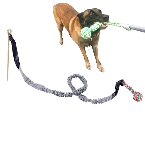 Eastuy Große, robuste Kauspielzeuge | Robustes Spielzeug für Hunde | Unzerstörbares Zahnungs-Kauspielzeug für Welpen, Kauspielzeug für Hunde mit knirschenden Zähnen für mittelgroße und große Hunde