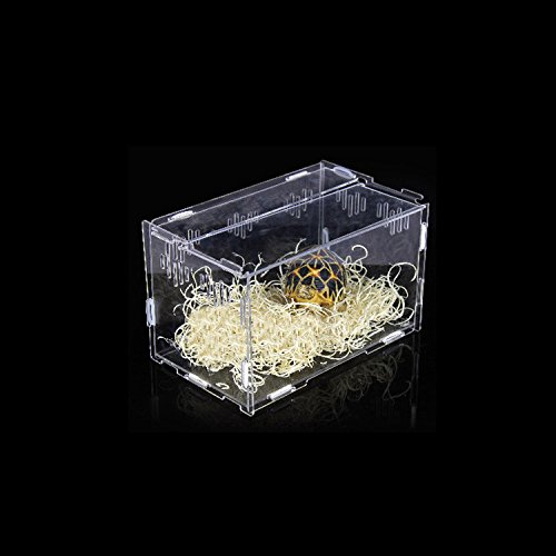 Reptilienbox aus Acryl, transparent, für Eidechse, Chamäleon, Spinnen, Schlange und andere Reptilien, 25 x 15 x 15 cm
