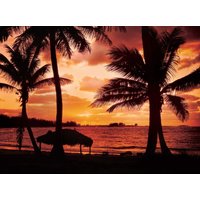 papermoon Vlies- Fototapete Digitaldruck 350 x 260 cm, Palm Beach at Dusk