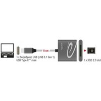 DeLOCK - Kartenleser (XQD, XQD 2.0) - USB 3,1 Gen 1 (91746)