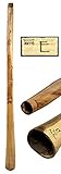 Didgeridoo Proline Eukalyptus in Ton E Länge 150-160 cm professionell perfekte Toots Reisetasche Aborigines Australien Percussion