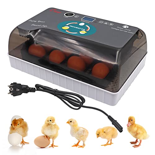 Brutautomat Vollautomatisch,Inkubator,Brutautomat für 20 Eier mit LED-Anzeige und Temperatur- und Feuchtigkeitskontrolle Zum AusbrüTen Von HüHnern, für HüHner, Enten, GäNse und GeflüGeleier Inkubator