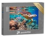 puzzleYOU: Puzzle 1000 Teile „Echte Karettschildkröte im Korallenriff“