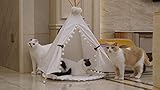 little dove Hunde Tipi Zelt Hause und Zelt mit Spitze für Hund oder Haustier, abnehmbar und waschbar mit Matraze(S)