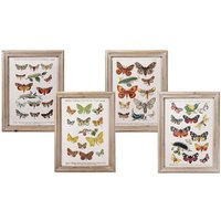 Wandbild Set Schmetterlinge Falter Holzrahmen 4 Stück 40x30cm